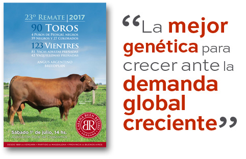 Catálogo remate 2016