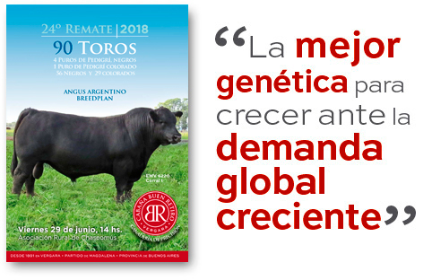 Catálogo remate 2016
