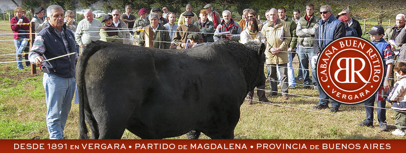 Presentaciones