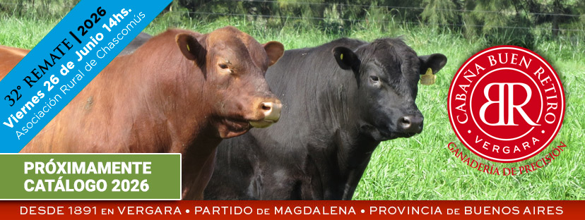 Caba&ntilde;a Buen Retiro - Vergara